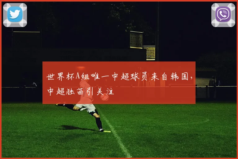 世界杯A组唯一中超球员来自韩国，中超独苗引关注